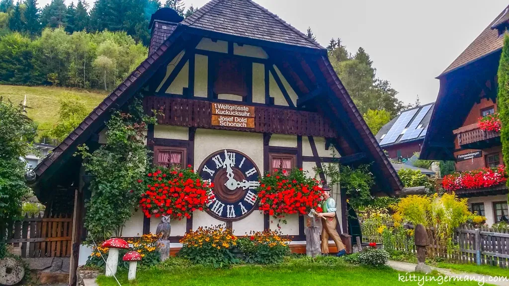 Friburgo - Titisee - Triberg - Friburgo